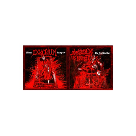 Deadly Frost/Exmortum (Pol.) "The nightstalker/Ritual surgery" Split-CD