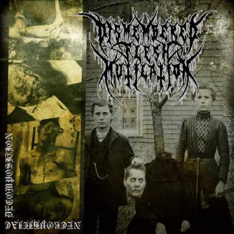 Dismembered Flesh Mutilation (Pol.) "Necrophiliac Decomposition" CD