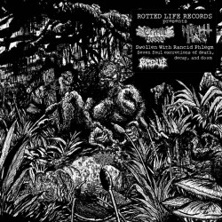 Night Hag / Cryptic Brood (US(Ger.) "Swollen with Rancid Phlegm" Split LP