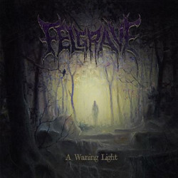 Felgrave (Nor.) "A Waning Light" CD