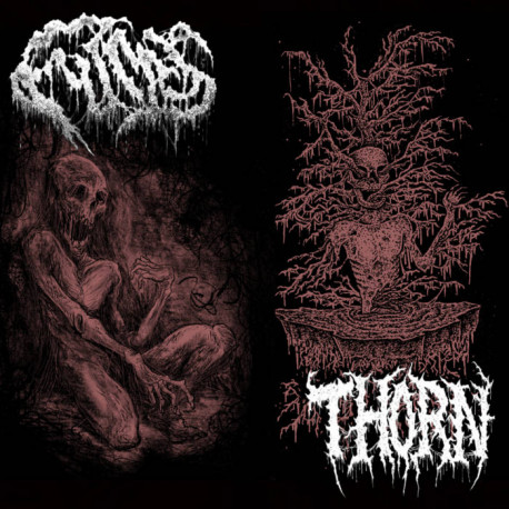 Fumes / Thorn (Can/US) "Same" Split MCD