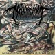 Mvltifission (Chn) "Decomposition in the Painful Metamorphosis" CD