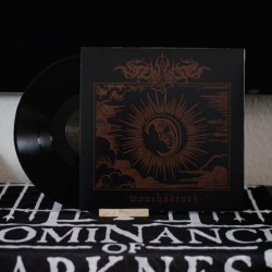Szivilizs / Sale Freux (CH/Fra.) "Wouchäbruch/Le cygne noir" Split LP
