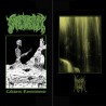 Sanctuarium / Magick Howl (Sp.) "Cadaveric Reminiscense/Svlphvrnaut" Split LP