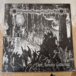 Virgin's Cunt / Darkwoods My Betrothed (Fin.) "Reborn In The Promethean Flame/Dark Aureoles Gathering" Split LP