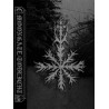 Moongate / Todlicht (US/Bih) "Same" Split Tape