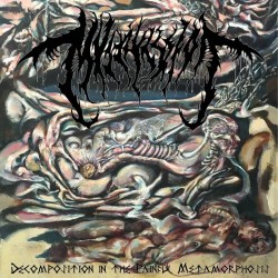 Mvltifission (Chn) "Decomposition in the Painful Metamorphosis" LP