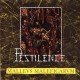 Pestilence (NL) "Malleus Maleficarum" LP