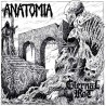 Anatomia / Eternal Rot (Jap./Pol.) "Same" Split LP