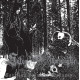 Satanic Warmaster (Fin.) "Carelian Satanist Madness" D-CD