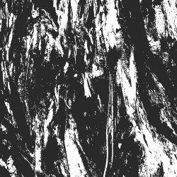 Carved Cross / Empire Of Hate (OZ) "Same" Split LP