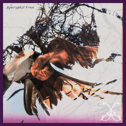 Aduanten (US) "Apocryphal Verse" LP