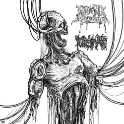 Fulminate / Reeking Pieces (US) "Same" Split CD