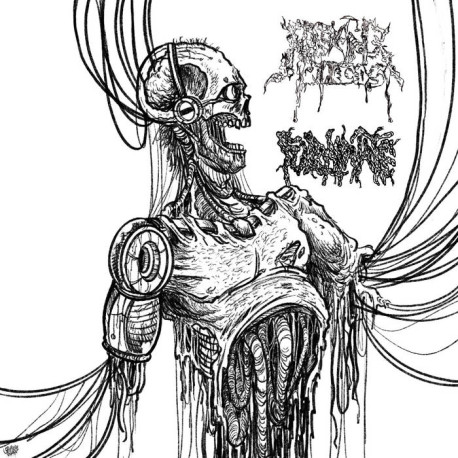 Fulminate / Reeking Pieces (US) "Same" Split CD