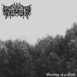 Erstwhile (US) "Steeling of a Soul" LP