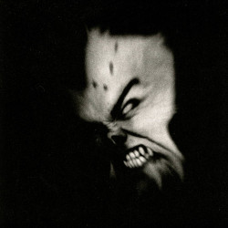 Ildjarn (Nor) "Strength and Anger" DLP