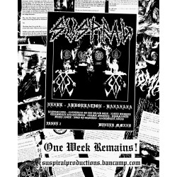 Suspiral (US) "Issue 2" Zine