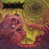 Disembodiment (Can) "Spiral Crypts" LP