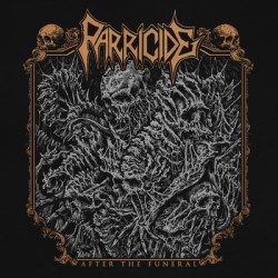 Parricide (Pol) "After the Funeral" Gatefold DLP