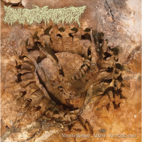 Pharmacist (Jap) "Vertebrae After Vertebrae" CD