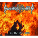 Suicidal Winds (Swe) "In the Fire 666" Digipak CD