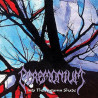 Ceremonium (US) "Into the Autumn Shade + Bonus" CD