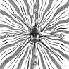 Cosmic Church (Fin) "Syysauringon Vihkimys" LP