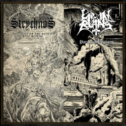 Strychnos / Lie In Ruins (Dk/Fin) "Paralyzing Visions/Theodicy of the Seven Mile Scythe" Split Digipak CD