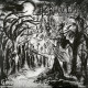 Graveland (Pol) "Carpathian Wolves" LP