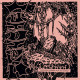 Stenched (Mex) "Purulence Gushing from the Coffin" Tape