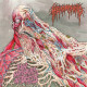 Hemorrhoid (US) "Raw Materials of Decay" CD