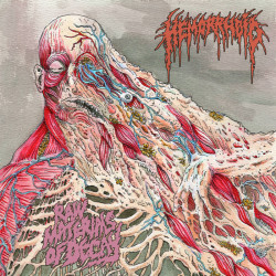 Hemorrhoid (US) "Raw Materials of Decay" CD