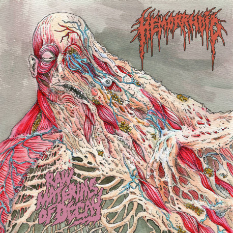 Hemorrhoid (US) "Raw Materials of Decay" CD