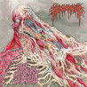 Hemorrhoid (US) "Raw Materials of Decay" CD