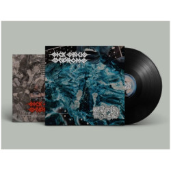 Sick Sinus Syndrome / Eat The Decay (CZ/US) "Same" Split LP