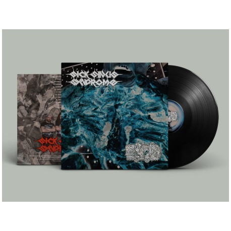Sick Sinus Syndrome / Eat The Decay (CZ/US) "Same" Split LP