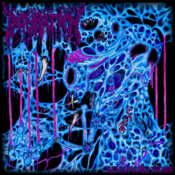 Intubation (Fin) "Hallucinations" CD