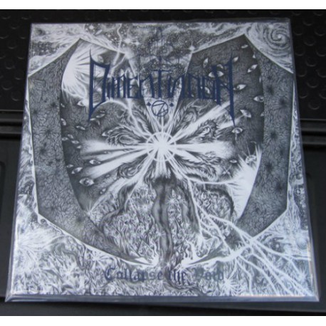 Dimentianon (US) "Collapse the void" LP
